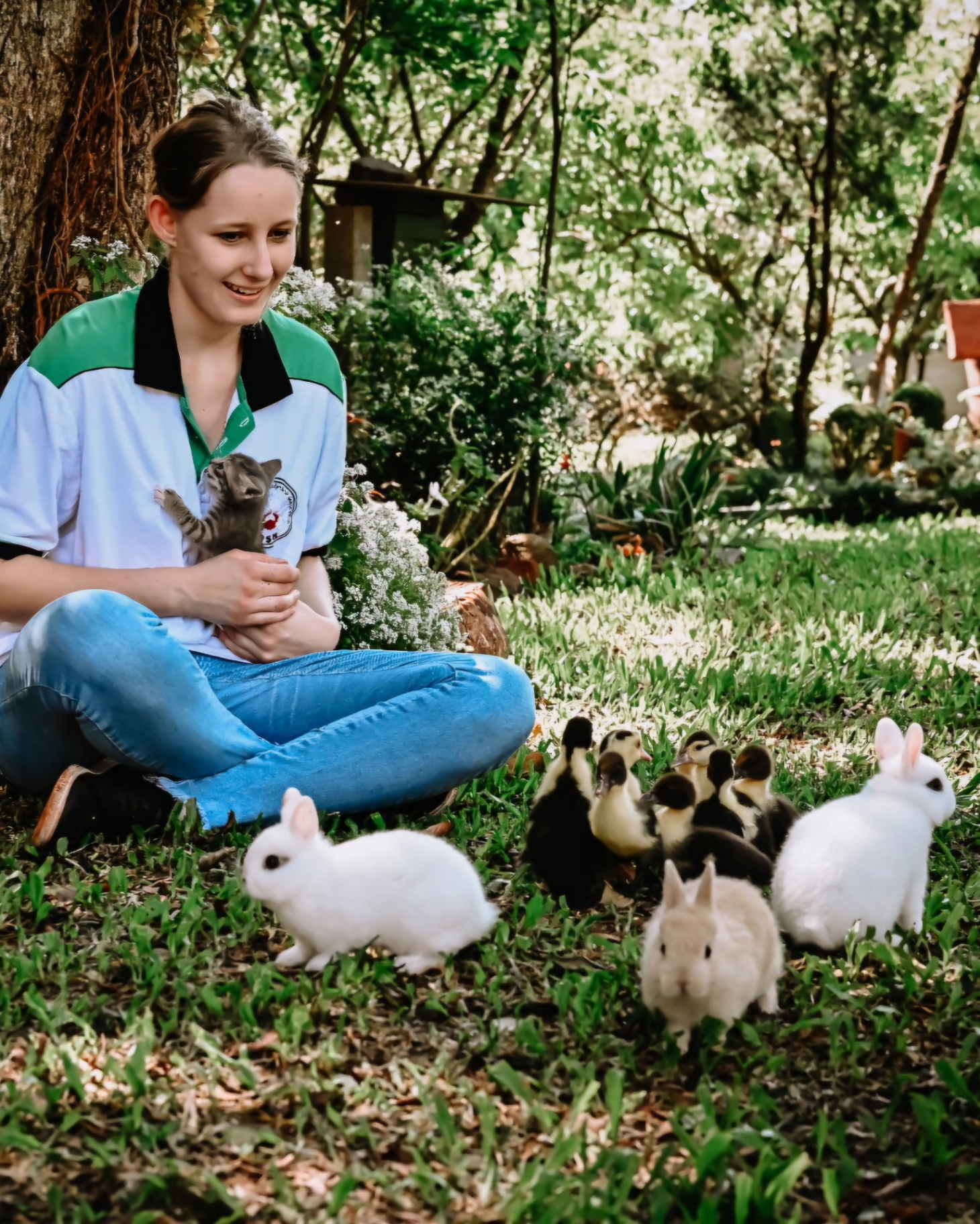 Animais da Propriedade